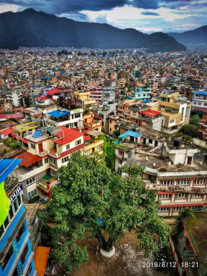 Big Tree Hostel Katmandu Eksteriør bilde